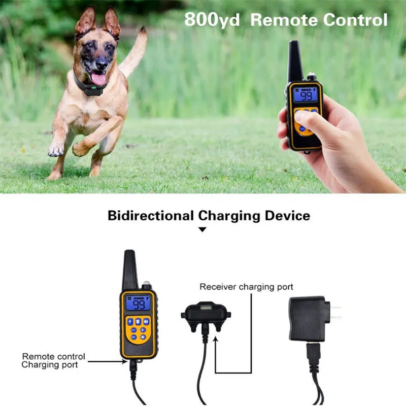 Digital Dog Training Collar with Remote Control and LCD Display