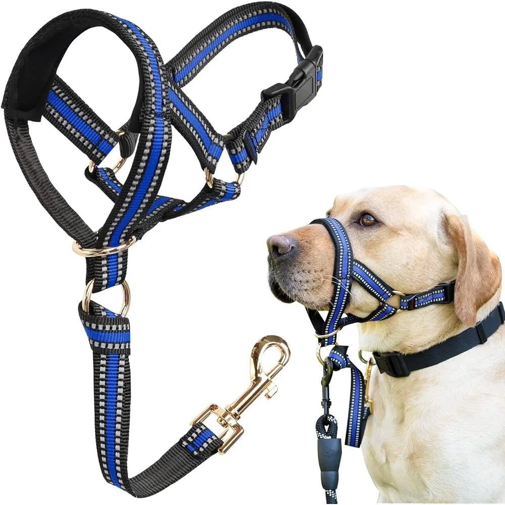 Fujian No Pull Dog Head Halter Reflective Face Harness