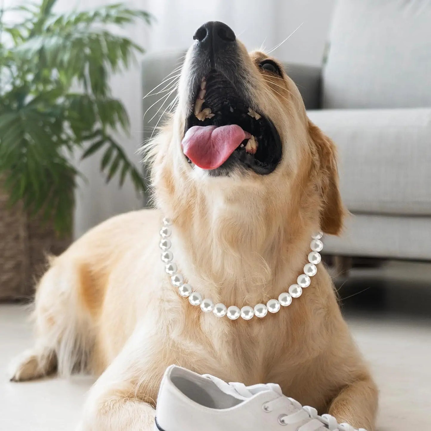 12 to 22 Inch Dog Pearl Necklace Adjustable Elegant Pet Pearl Collar Jewelry Accessories for Small Medium Large Dogs