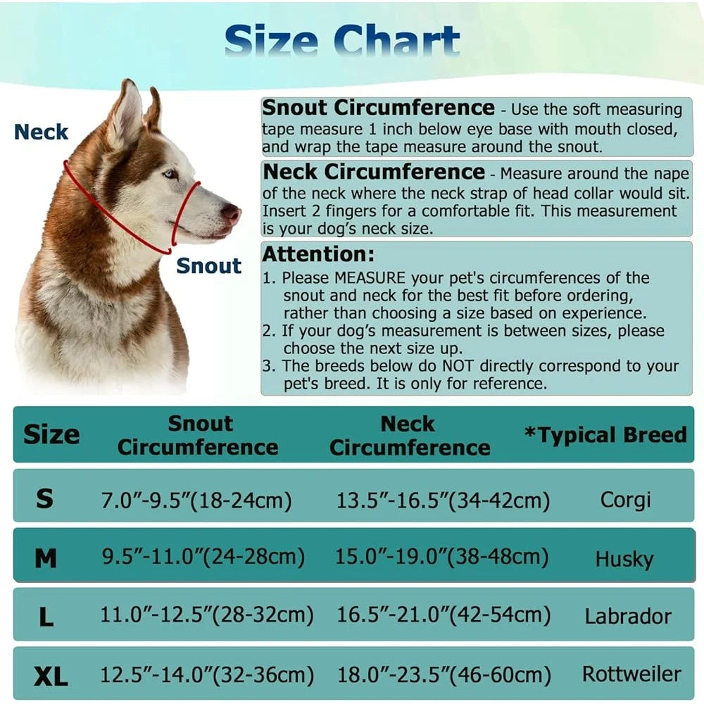 Fujian No Pull Dog Head Halter Reflective Face Harness