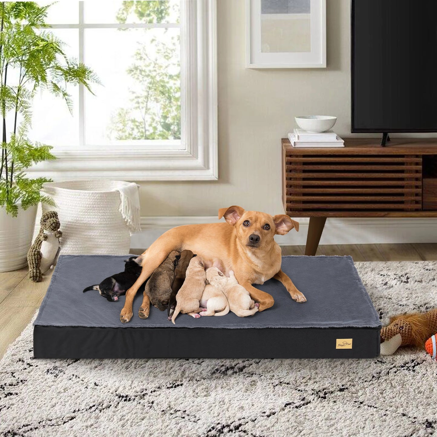 BINGOPAW Orthopedic Dog Bed with Waterproof Lining and Non-Slip