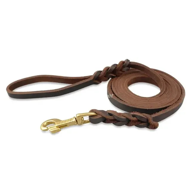 Genuine Leather Braided Dog Leash for Medium and Large Dogs
