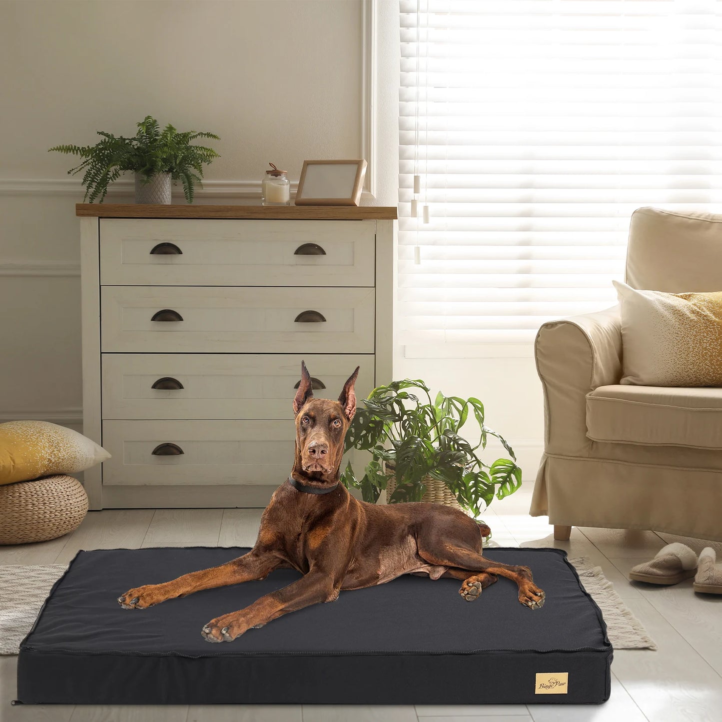 BINGOPAW Orthopedic Dog Bed with Waterproof Lining and Non-Slip