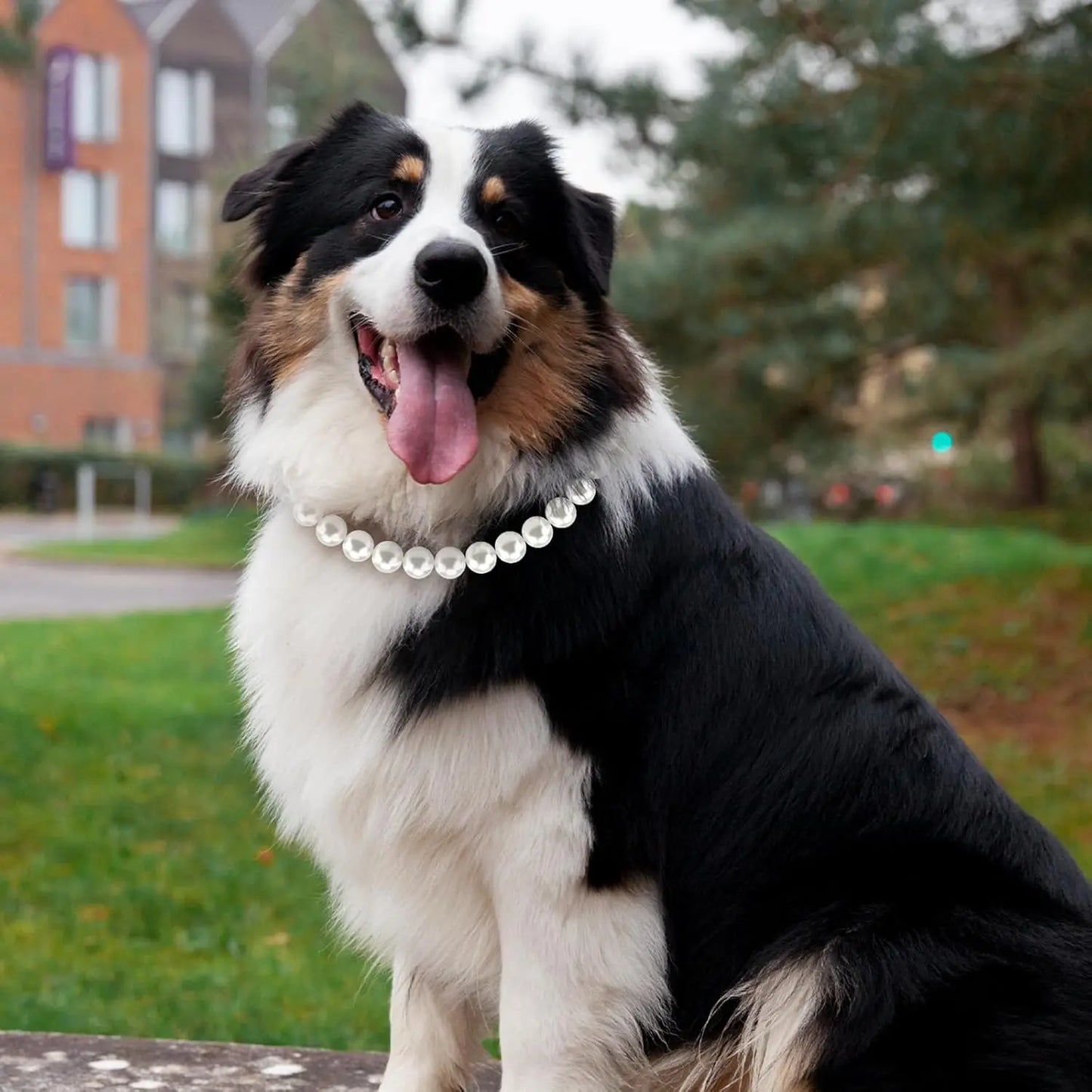 12 to 22 Inch Dog Pearl Necklace Adjustable Elegant Pet Pearl Collar Jewelry Accessories for Small Medium Large Dogs