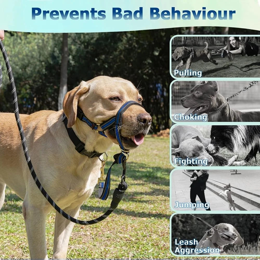 Fujian No Pull Dog Head Halter Reflective Face Harness