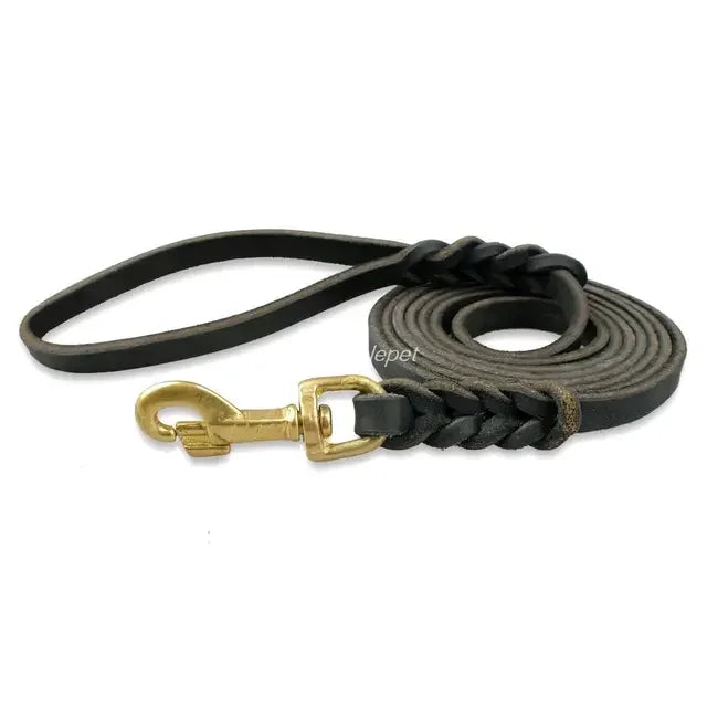 Genuine Leather Braided Dog Leash for Medium and Large Dogs