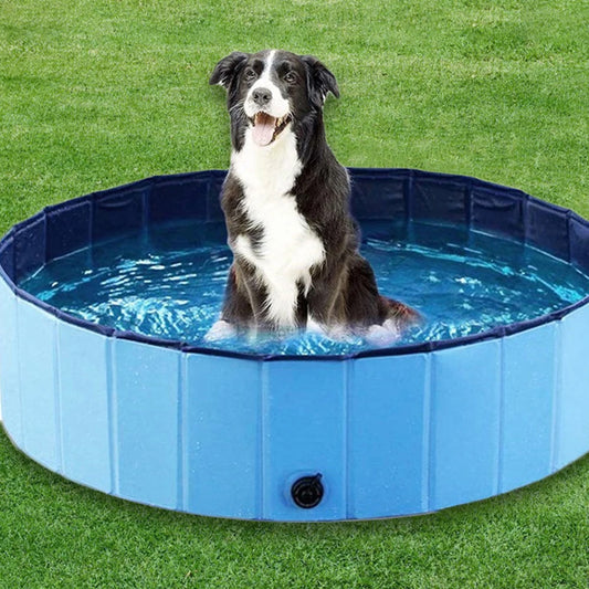Portable Dog Swimming Pool by PETRAVEL for Large Pets