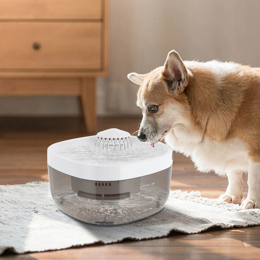 Pet Water Dispenser Automatic Fresh Water Supply Smart Design for Cats and Dogs Hygienic and Convenient