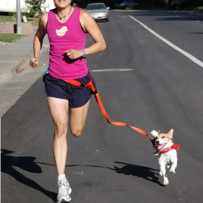 Adjustable Pet Lead Belt Traction Walking Leash for Dogs and Cats Free Rope Jogging Supplies
