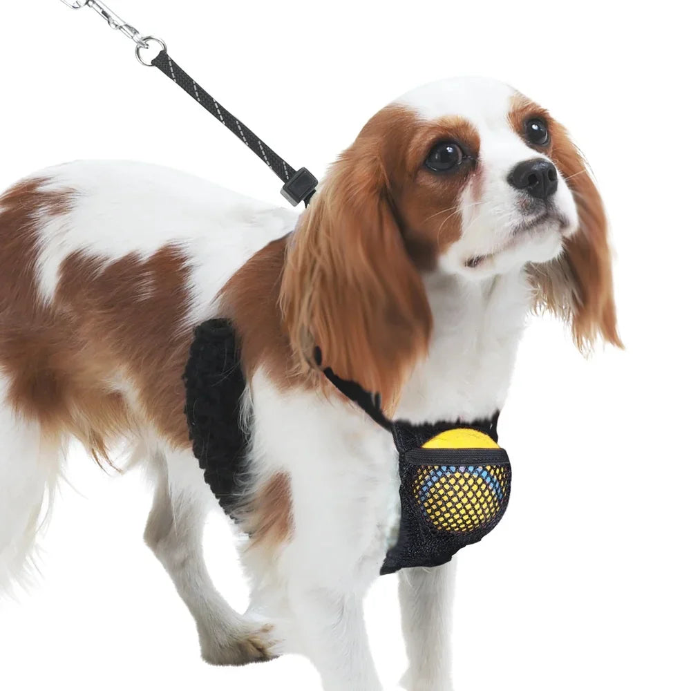 Non-Pulling Dog Harness with Adjustable Reflective Storage Pouch