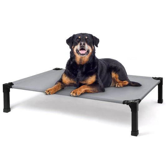 Elevated Dog Bed With Cooling Mesh Chew-Proof Metal Frame Cot