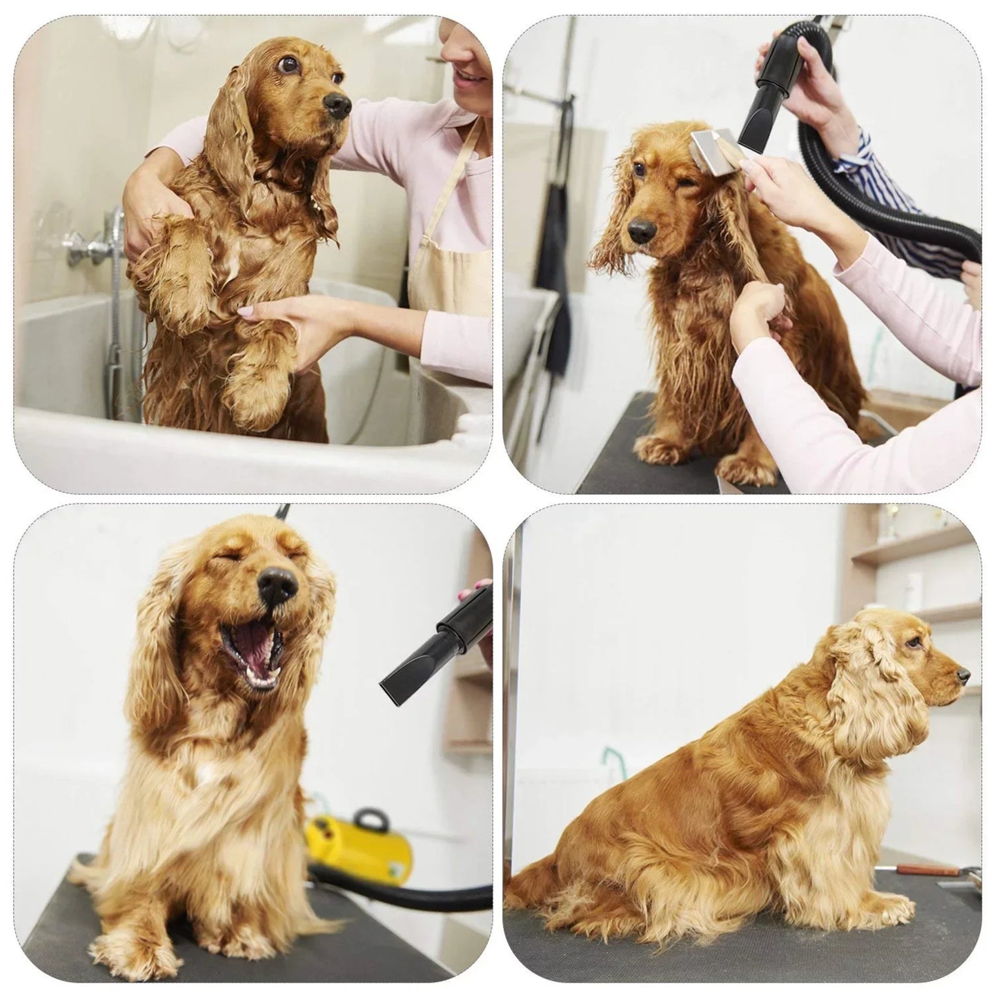 Dog Hair Dryer 2800W High Velocity Pet Grooming Blower Pro