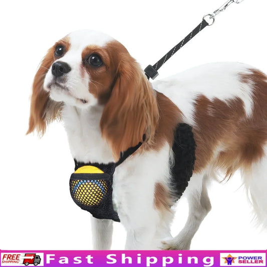 Non-Pulling Dog Harness with Adjustable Reflective Storage Pouch