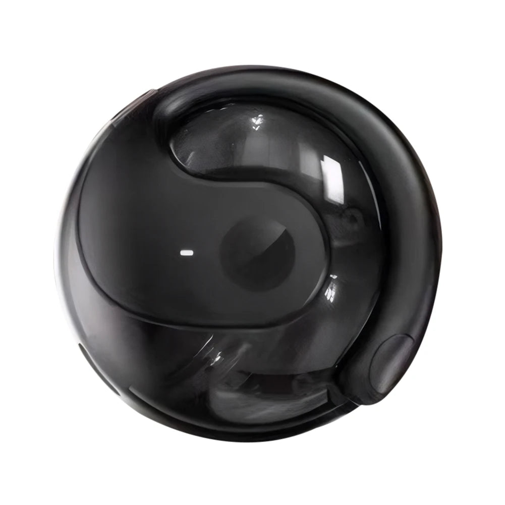 APWIKOGER Real Time Translation Earbuds 144 Languages