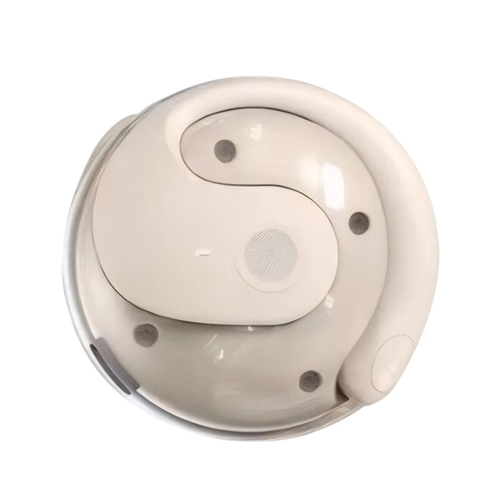 APWIKOGER Real Time Translation Earbuds 144 Languages