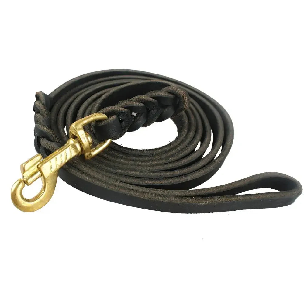 Genuine Leather Braided Dog Leash for Medium and Large Dogs