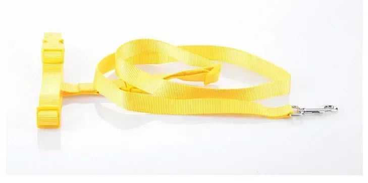 Adjustable Pet Lead Belt Traction Walking Leash for Dogs and Cats Free Rope Jogging Supplies