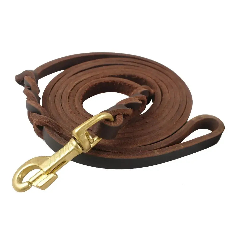 Genuine Leather Braided Dog Leash for Medium and Large Dogs