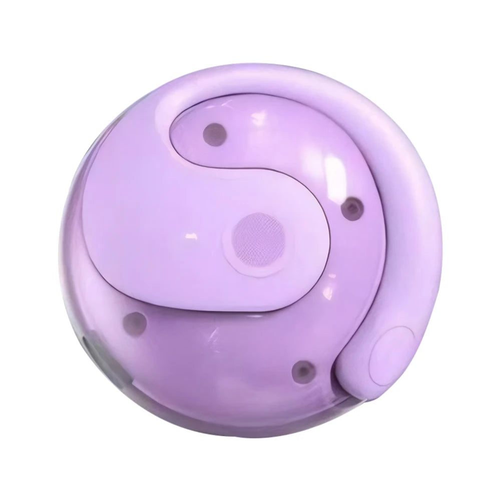APWIKOGER Real Time Translation Earbuds 144 Languages