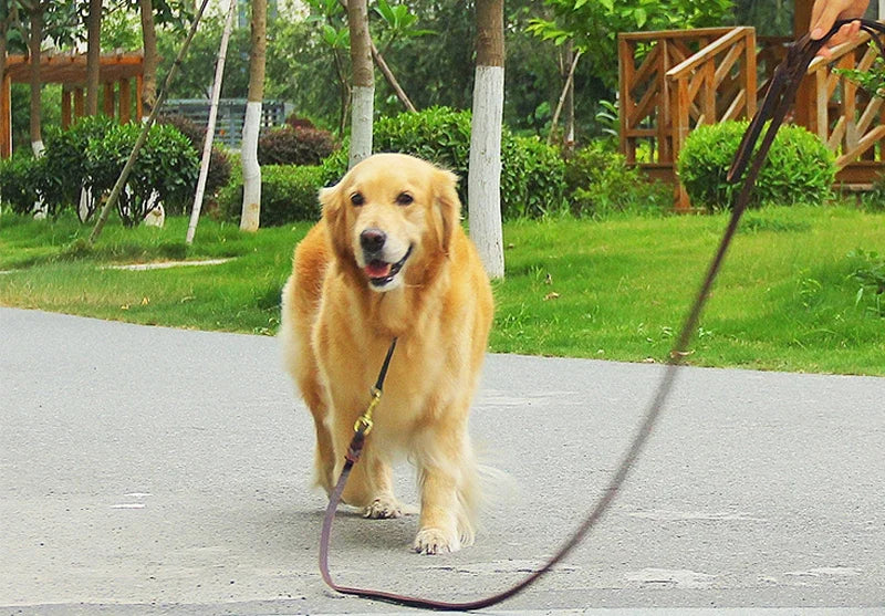 Genuine Leather Braided Dog Leash for Medium and Large Dogs